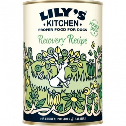 Lily´s Kitchen Recovery Recipe